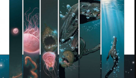 Deep, tome 1, Alpha Prédateurs
