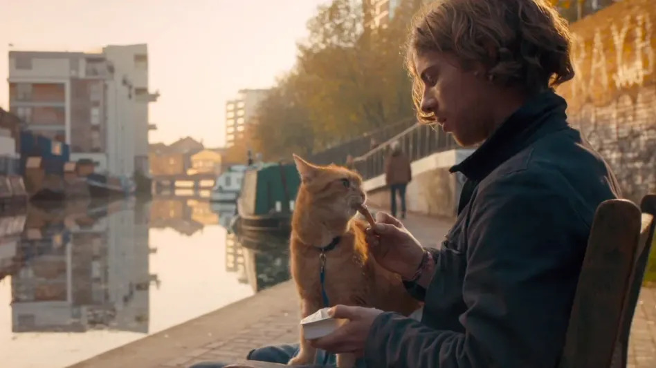 « A Street Cat Named Bob » : Une Leçon de Vie à Travers les Yeux d’un Chat Exceptionnel