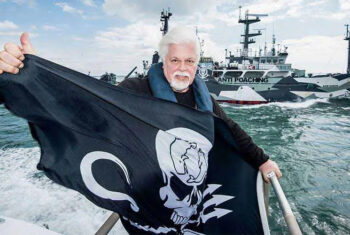 Paul Watson – Une Vie pour les Océans : Le Portrait Inspirant d’un Défenseur de la Vie Marine