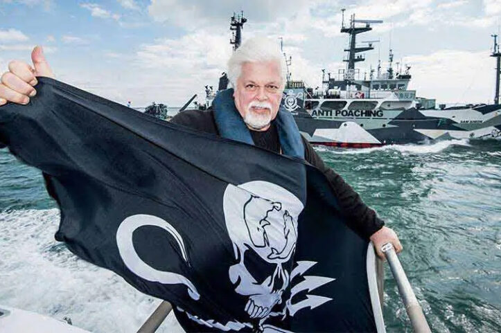 Paul Watson - Une Vie pour les Océans : Le Portrait Inspirant d’un Défenseur de la Vie Marine