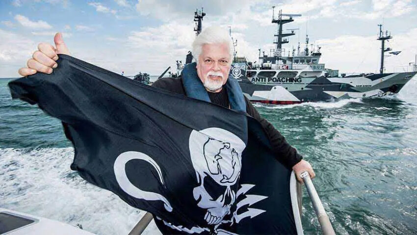 Paul Watson – Une Vie pour les Océans : Le Portrait Inspirant d’un Défenseur de la Vie Marine