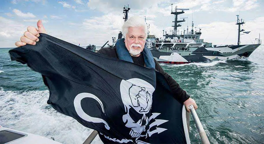 Paul Watson – Une Vie pour les Océans : Le Portrait Inspirant d’un Défenseur de la Vie Marine