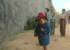 « Retour au miel natal » : critique XXL de Paddington au Pérou